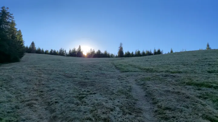 Frosted Hala Sunrise