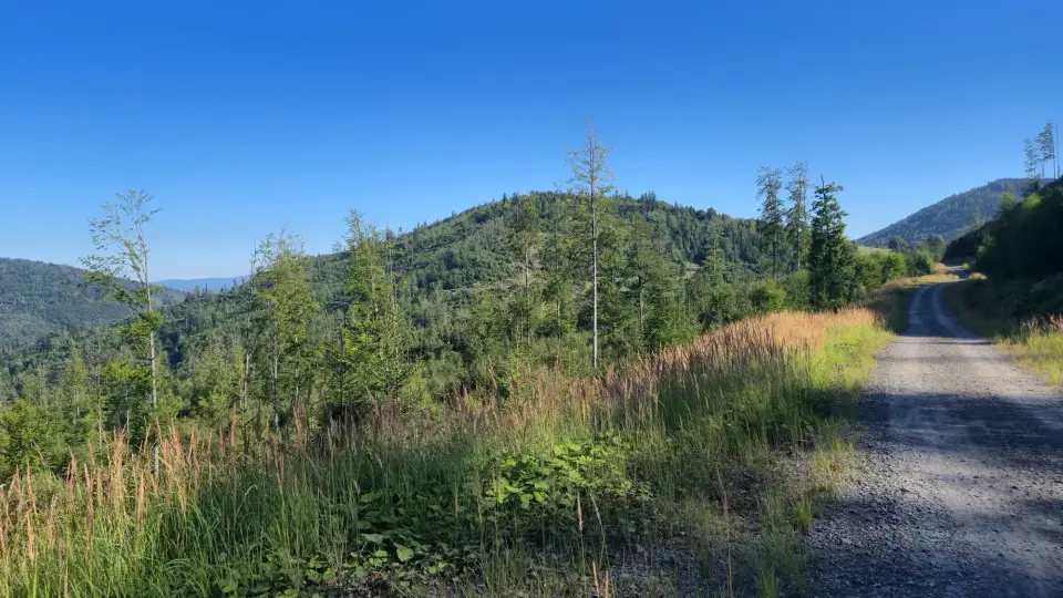 Gravel Road and Green Hill