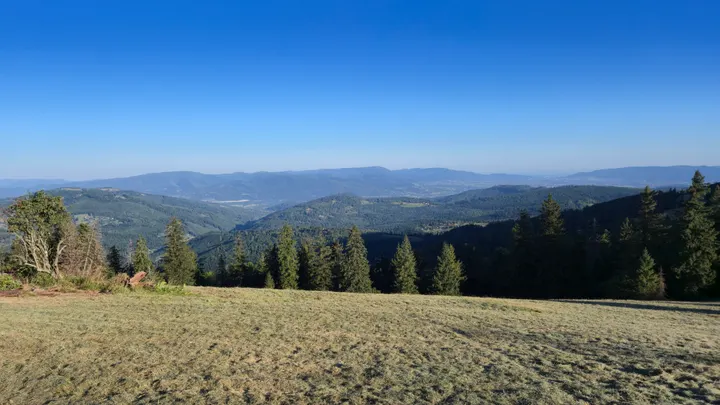 Hala Panorama
