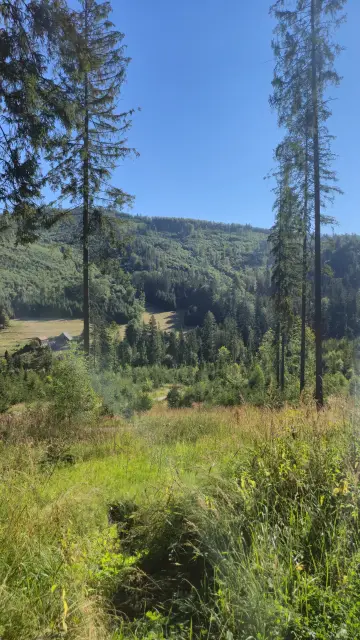Huts on the Forest Slope