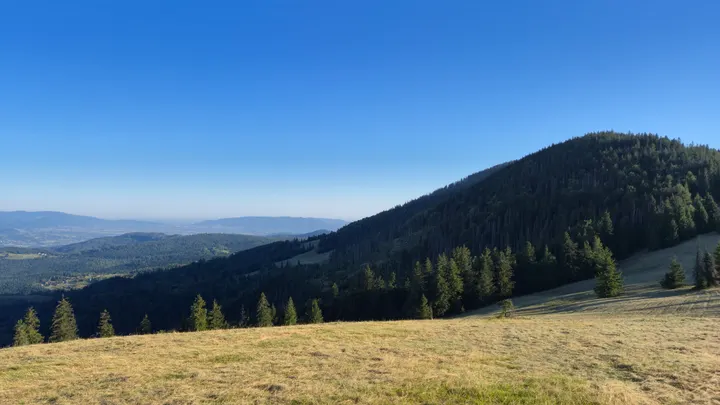 Meadow Over the Settled Valley
