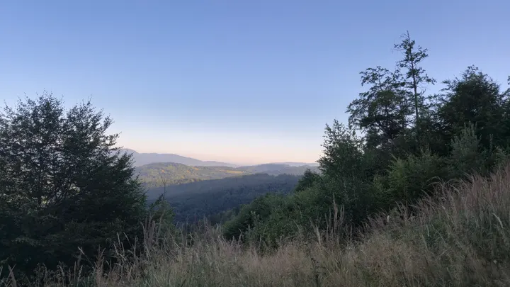 Meadow Window to the Ridges