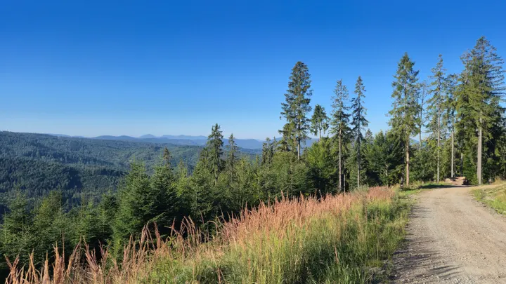 Ridge Road Overlook