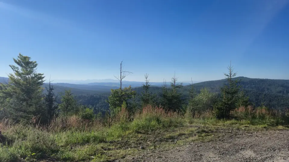Ridge Snags and Horizon