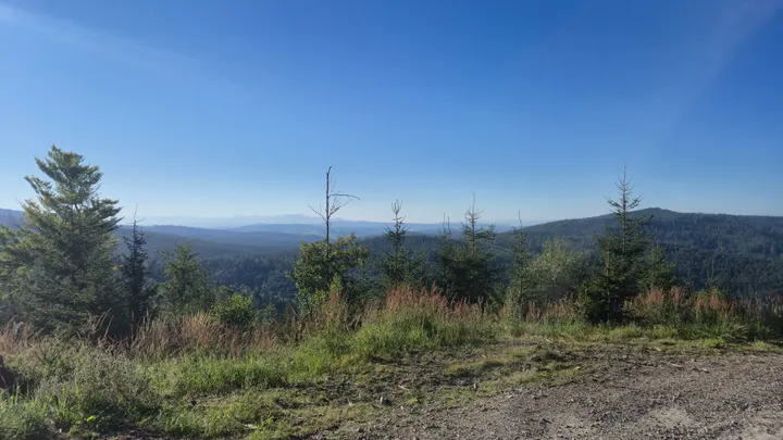 Ridge Snags and Horizon