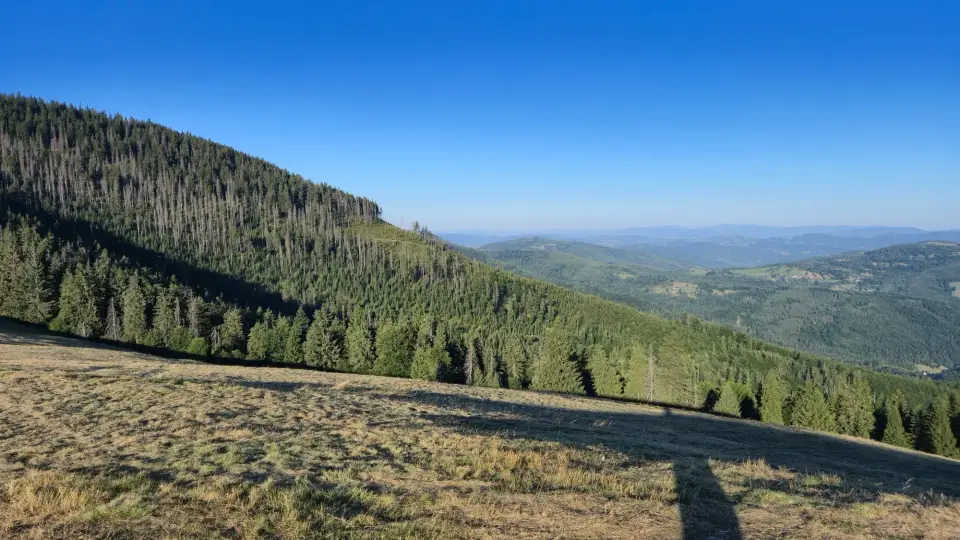 Silvered Ridge Crest