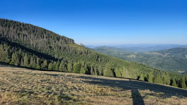 Silvered Ridge Crest