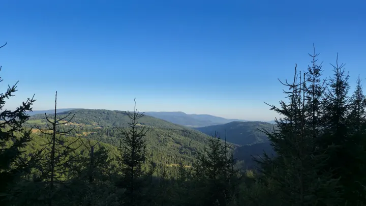 Spruce-Framed Ridges