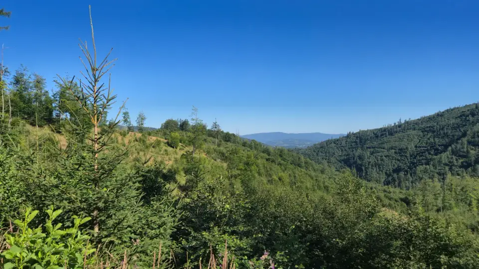 Valley Between the Slopes