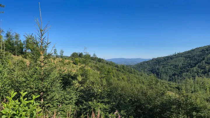 Valley Between the Slopes