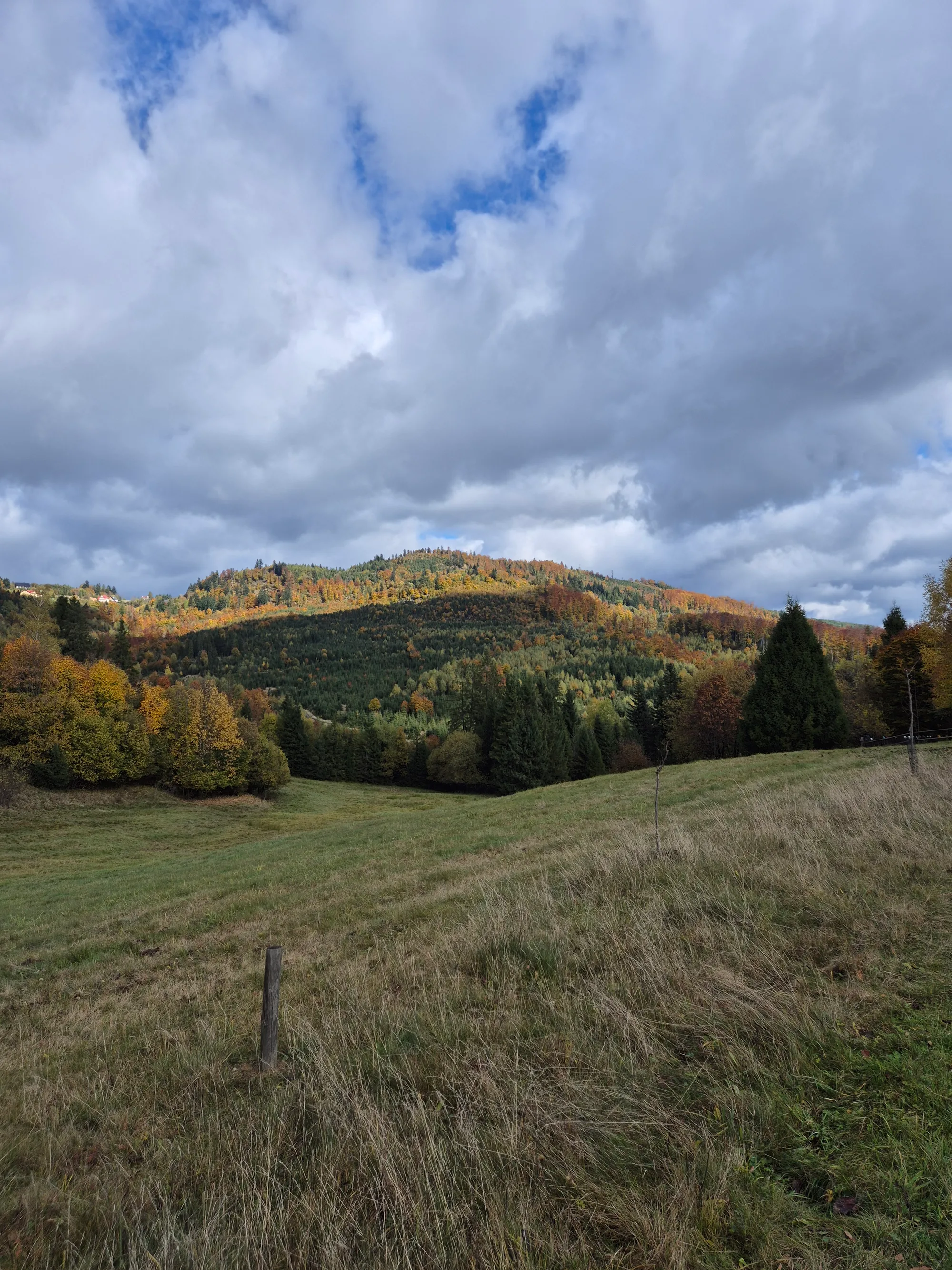 Spotlight on the Autumn Slope