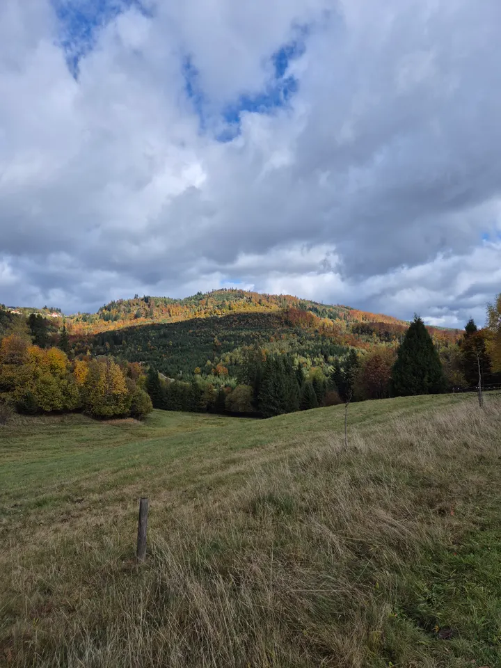 Spotlight on the Autumn Slope