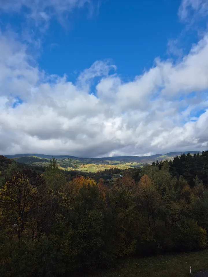 Sunlit Valley Clearing
