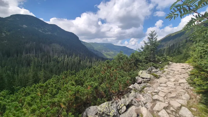 Stone Path on the Shoulder