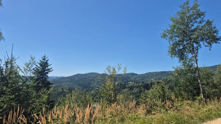 Summer Trail Vista