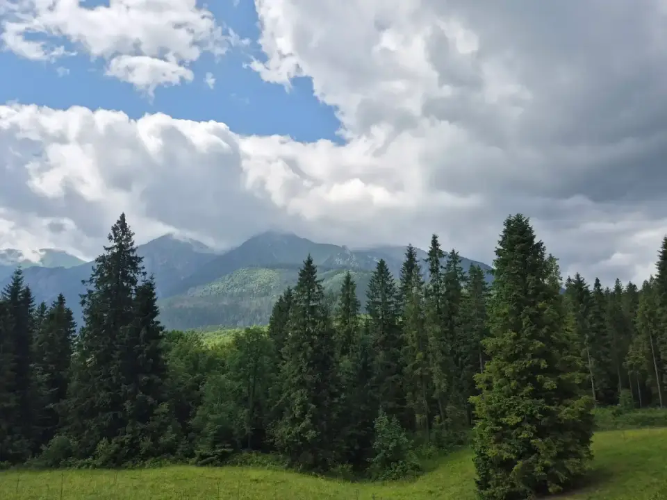Wide Ridge Under Blue