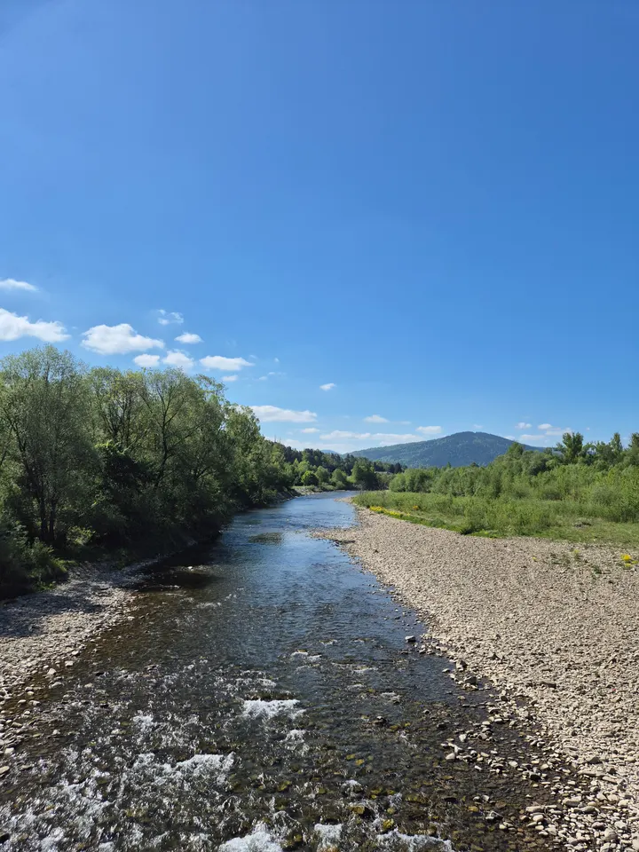 Shallow River Morning