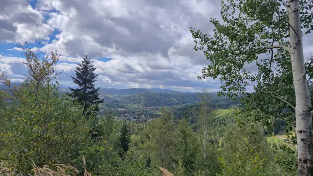 Birch Frame Over the Settled Valley