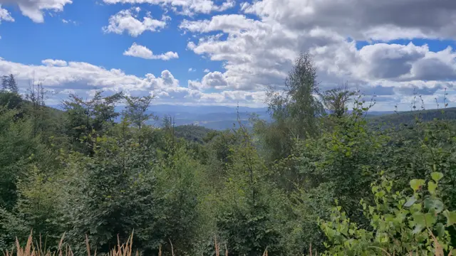 Foliage Shelf to Distant Ridges