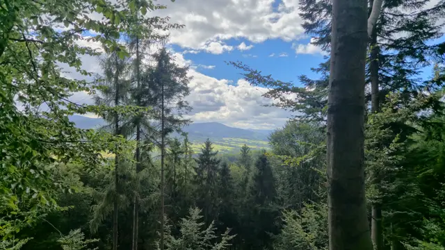 Leaf Window Over the Valley