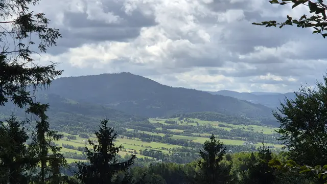 Valley Framed by Spruce to the Massif
