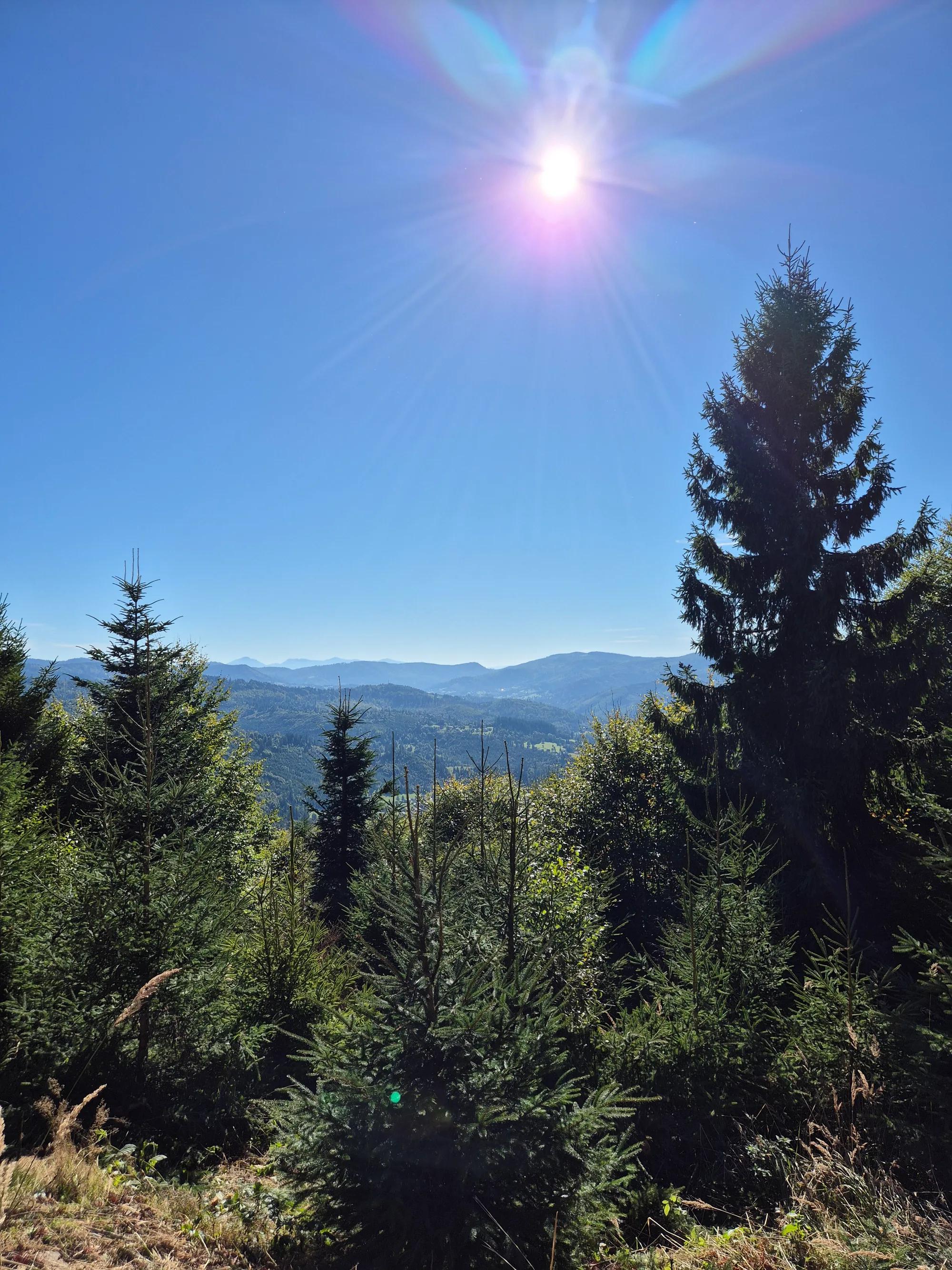 Afternoon Ridge Walk
