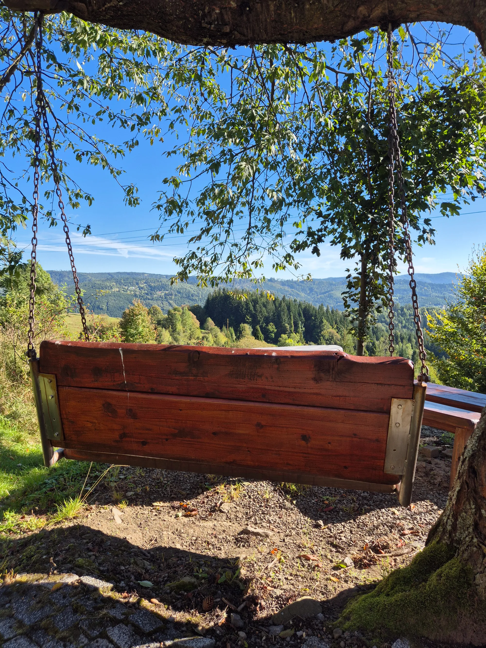 Swing Over the Valley