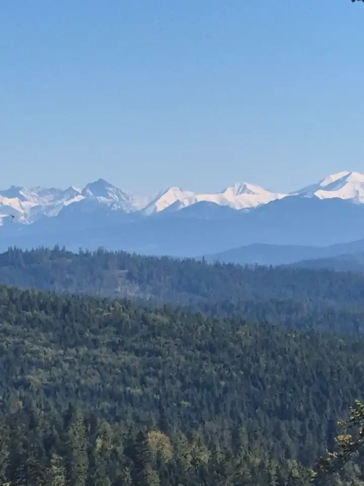 White Crest Horizon
