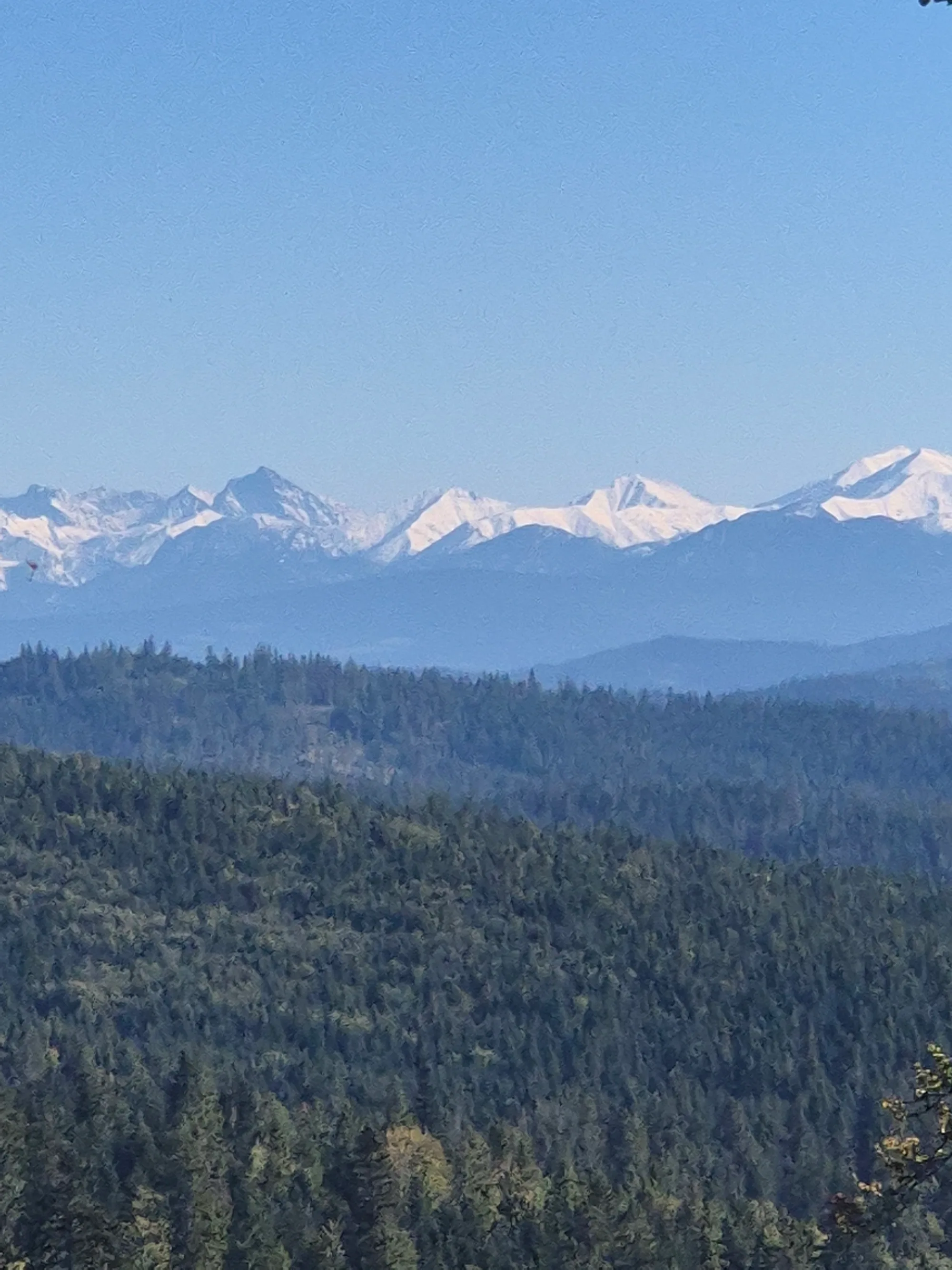 White Crest Horizon