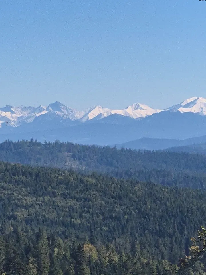 White Crest Horizon