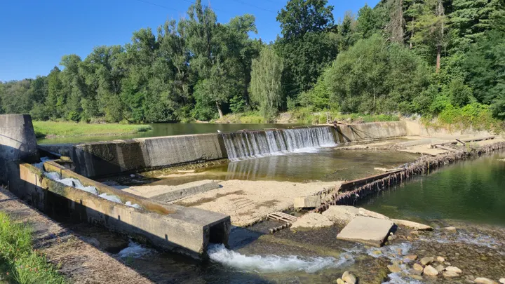 Concrete Weir and Forest Bank