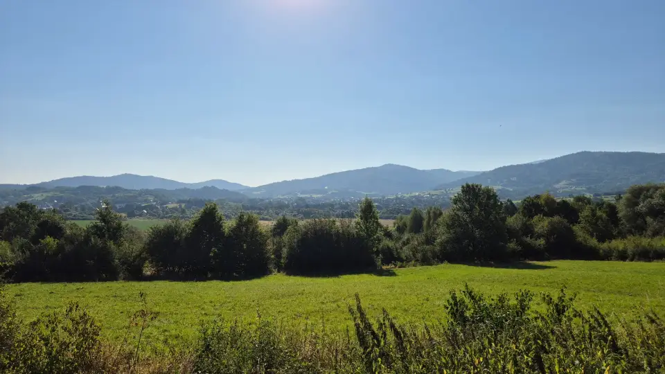 Field Edge to Blue Hills
