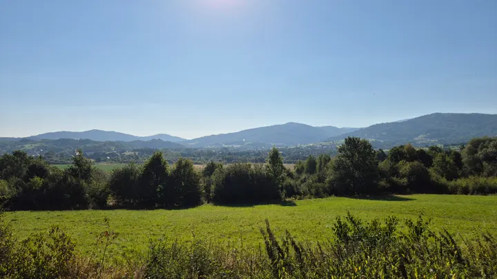 Field Edge to Blue Hills