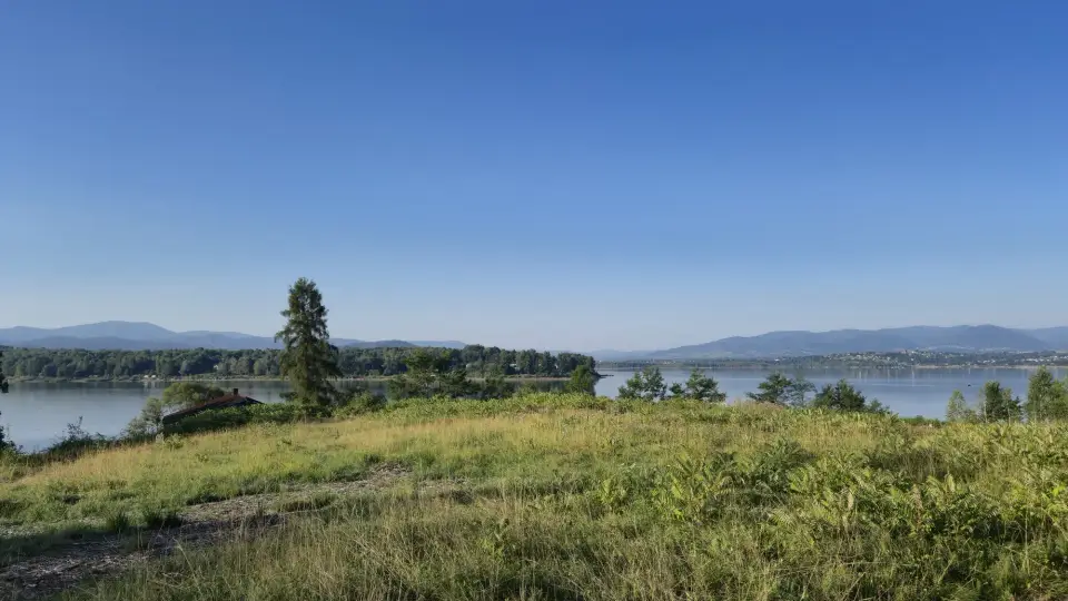 Meadow Edge Over the Lake