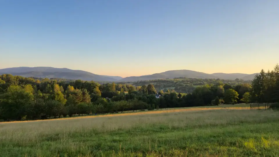 Meadow Toward the Blue Ridges