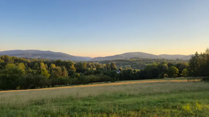 Meadow Toward the Blue Ridges