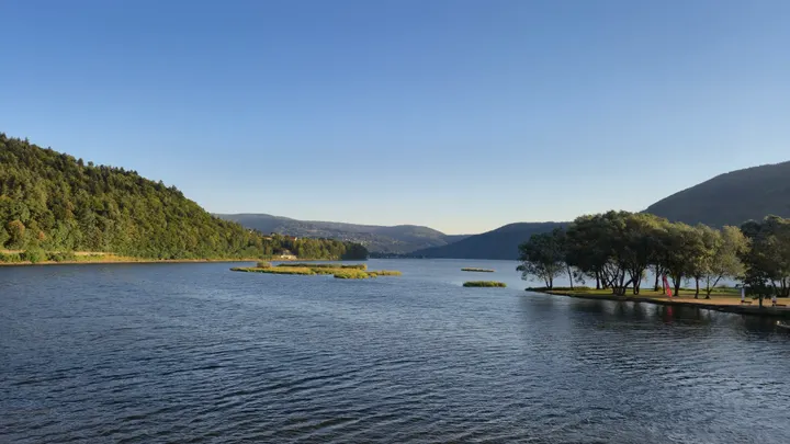 Open Water and Forested Shore